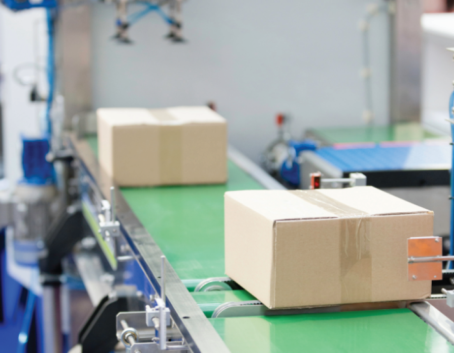 Ithemba factory packing-01